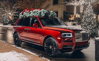 I Found an Elderly Woman on the Roadside on a Snowy Christmas Eve & Took Her Home — Days Later, a Luxury Decorated SUV Pulled up to My Door