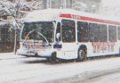 Bus Driver Kicks Out Old Lady into the Cold, Sees Her Framed Photo When Meeting His Fiancée — Story of the Day