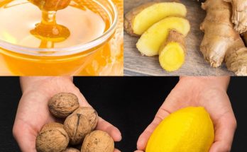 The Ultimate Health Boosting Combo: Honey, Ginger, Walnuts, and Lemon