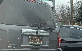 This Clever License