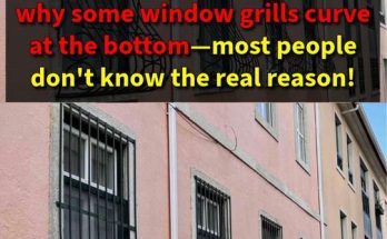 This Is Why Some Window Grills Have a Curve at the Bottom