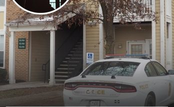 Indianapolis boy, 4, is found in apartment with body of grandmother who'd been dead for 2 days by maintenance workers