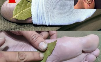 Discover the Hidden Magic of Bay Leaves: Why Putting One in Your Socks Could Change Your Day