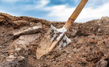 I Saw My Neighbor Faint While Digging in Her Yard — I Gasped as I Looked into the Hole She Dug