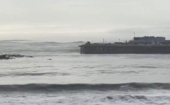 Santa Cruz Wharf Partially Collapses in California as Three Individuals Fall Into the Water — Details