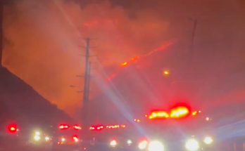 Wildfire Erupts Near Malibu, Mandatory Evacuations Issued