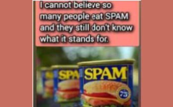 In any case, what is SPAM and what ingredients are there? 