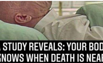 Your Body Knows When Death Is Near