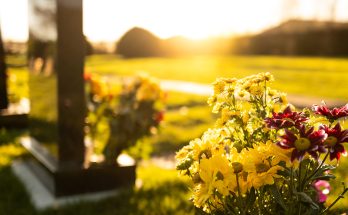 A Boy Visited the Grave of His Adoptive Mother He Resented in Life, and Found an Envelope with His Name on It