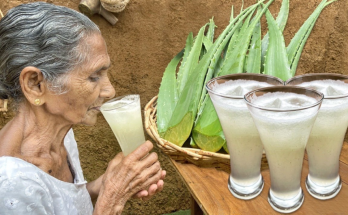 Homemade Aloe Vera Juice: A Refreshing, Healthful Drink Inspired by Grandma’s Wisdom