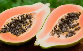 The Surprising Health Benefits of Papaya Seeds: Nature’s Untapped Powerhouse