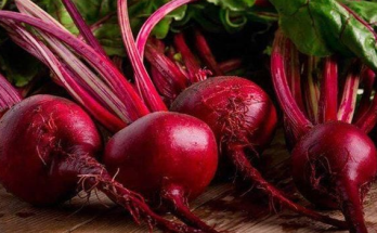 🎉 Transform Your Table: The Creamiest Beet Soup with Just 3 Ingredients! 🥣✨