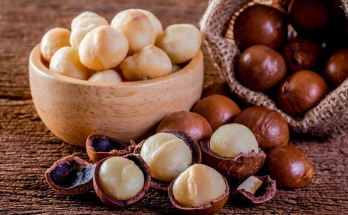 Macadamia Nuts: Uses and Health Benefits