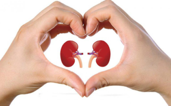 The One Fruit You Must Eat for Stronger Kidneys