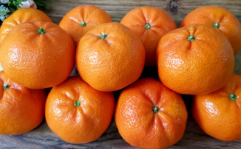 Revitalize Your Body Naturally: Detoxify Your Kidneys, Liver, and Lungs with Mandarins