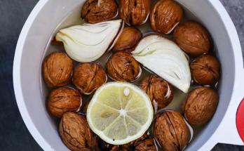 Clear Your Lungs and Stop Coughing with This Timeless Remedy: Walnuts, Lemon, and Onion