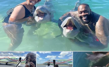 Rick Ross used a private jet to take his family to Bahamas so they could play with dolphins all day