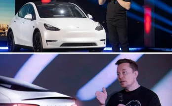 Once enthusiastic, now embarrassed, Tesla owners are settling scores with Elon Musk!