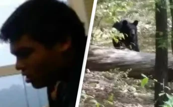 Student captured chilling final image of black bear before being mauled to death by it