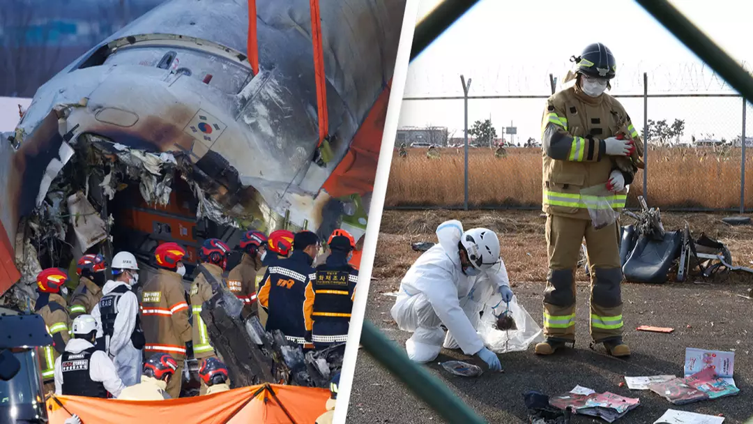 Everything we know about South Korea plane crash that has killed 179 people