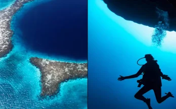 Divers make frightening discovery after finally reaching bottom of 400ft Great Blue Hole