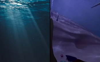 Terrifying simulation 'unlocks new fear' in people after showing reality of how deep the ocean is