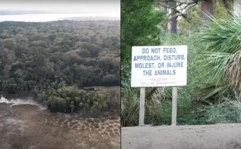 Terrifying reason you're not allowed to visit unassuming island off the coast of the USA