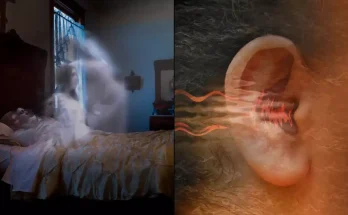 There is one sound a person makes that means they have less than 24 hours left to live