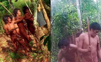 Astonishing new images show never-seen-before uncontacted Amazon community