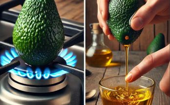 The Secret Behind Putting Avocados on the Stove: Unlock Their Hidden Potential!