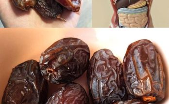 The Superfood Secret: Unleashing the Incredible Benefits of Dates