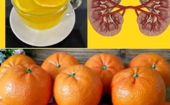 Cleanse Your Kidneys, Liver, and Lungs Naturally: A Path to a Healthier You