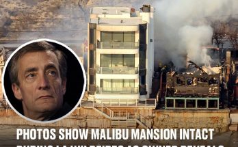 Business tycoon reveals how 'miracle' Malibu house remained intact during LA wildfires when homes on either side burned down