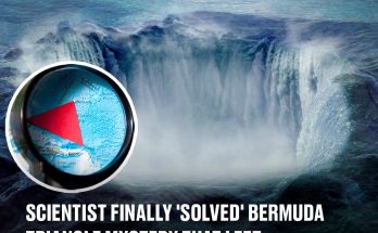 Scientist finally 'solved' Bermuda Triangle mystery that left theorists baffled for years