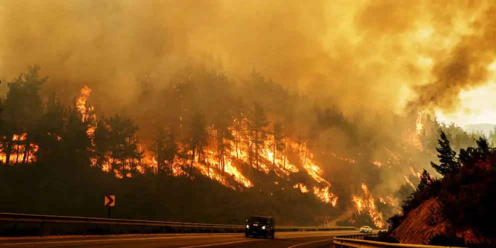 15 Los Angeles Areas Under Immediate Threat amid Pacific Palisades Fire — Details