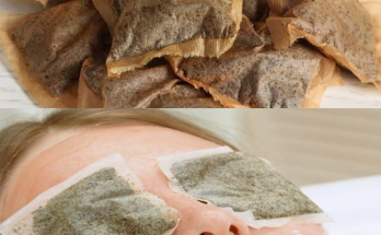 You Will Never Throw Away Used Tea Bags Again After Learning These Incredible Uses