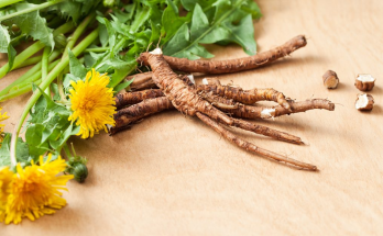 5 Surprising Health Benefits of Dandelion: A Powerhouse Hidden in Plain Sight