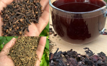 Say Goodbye to Diabetes, Fatty Liver, and Joint Pain with This Powerful Remedy!