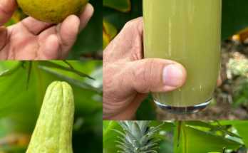 Powerful Green Blend to Cleanse Your Liver, Colon, and Reduce Abdominal Inflammation