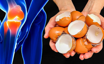 Eggshell Remedy for Knee and Bone Pain: A Surprising Natural Solution