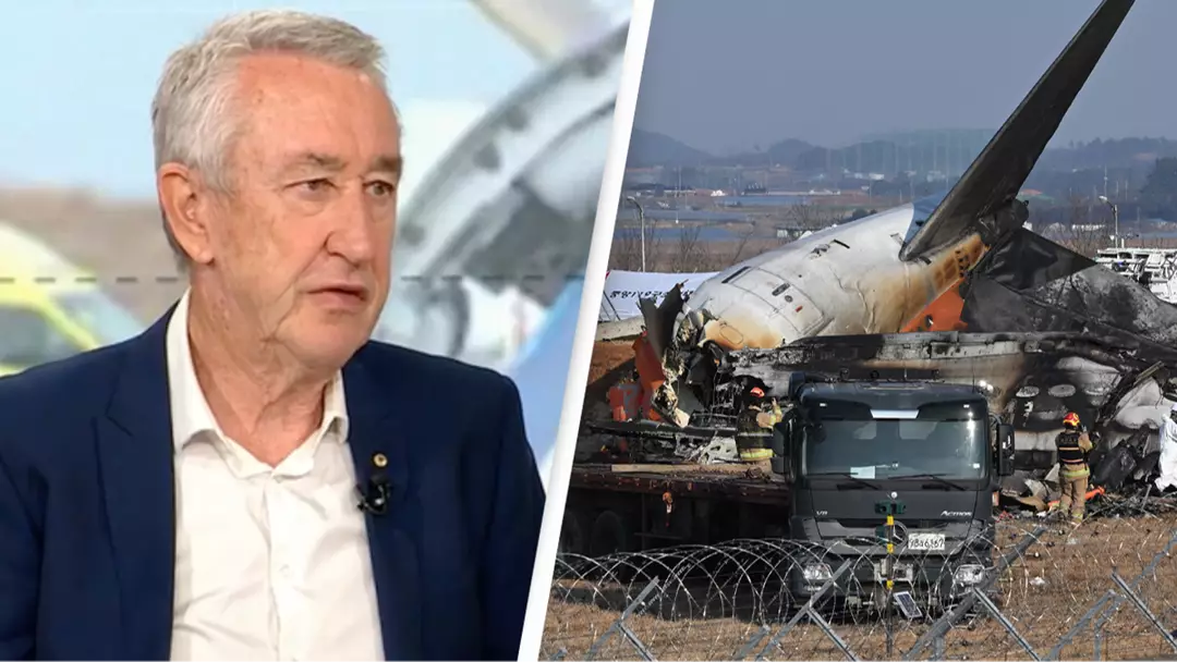 Aviation expert believes Jeju Air plane had more 'sinister' explanation to crash that killed 179 in chilling new theory