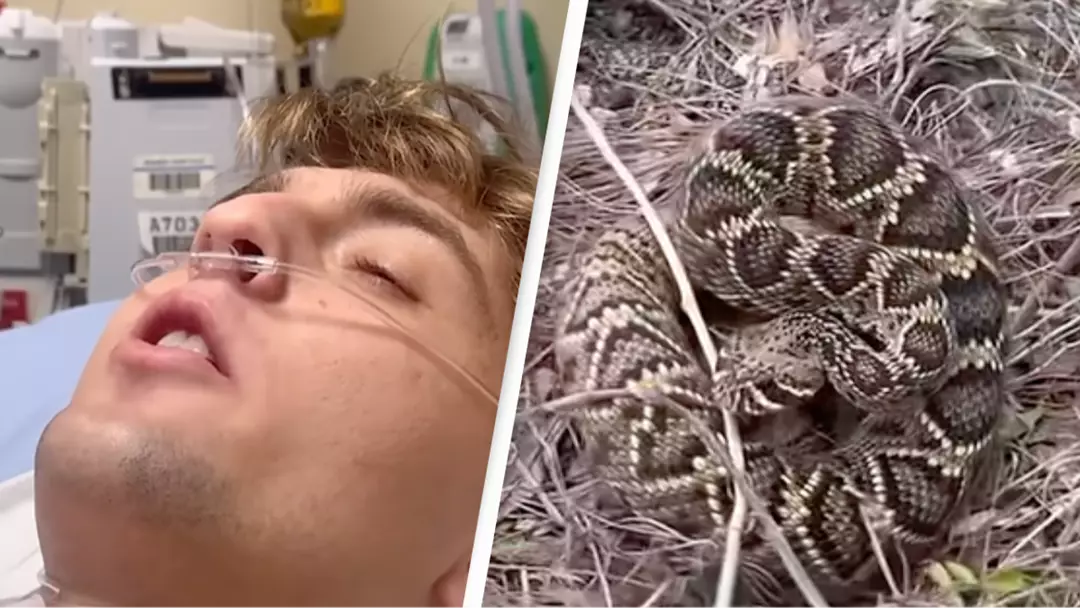 Terrifying moment influencer livestreams himself being bitten by snake and admitted to ICU