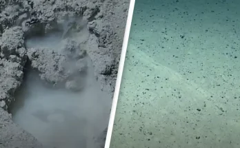 Scientist makes disturbing discovery at Earth's deepest point