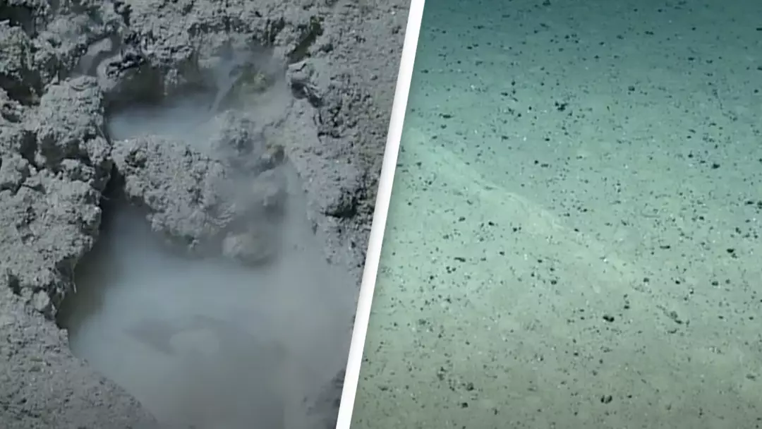 Scientist makes disturbing discovery at Earth's deepest point