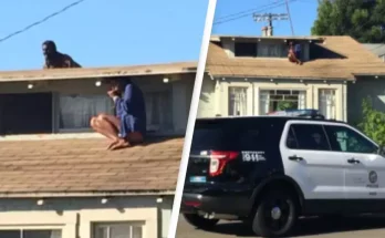 Terrifying moment woman climbs on roof to hide from intruder who was just a few feet behind her