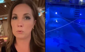 Woman shares 'dark secrets' about cruise ship pools that might make you think twice about using one