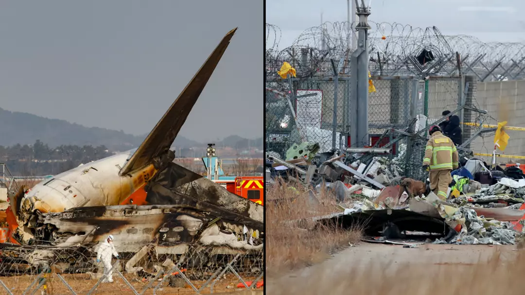 Officials issue worrying update on black box from South Korea plane crash that killed 179