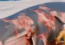 Simulation shows what happened during exploding whale incident that is still one of most bizarre spectacles ever recorded