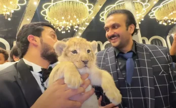 YouTuber who illegally owned a lion cub and posted videos to millions of followers handed a big punishment