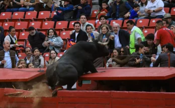 Audience narrowly avoids injuries after fighting bull leaps barrier during event